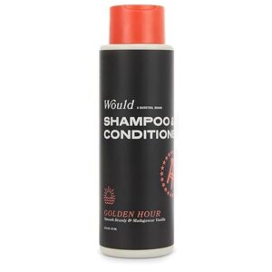 Would shampoo +conditionner 2in 1 473ml